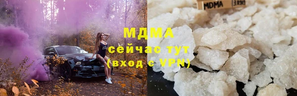 хмурый Алексин