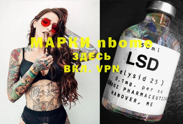 хмурый Алексин