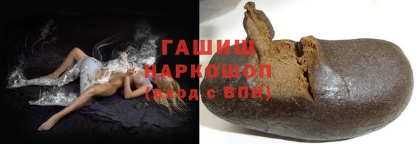 хмурый Алексин