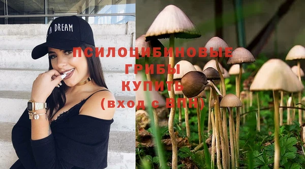 кокаин премиум Алексеевка