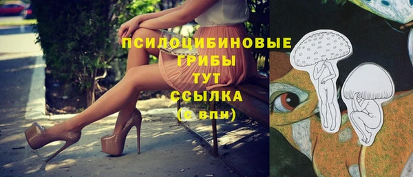 дурь Алзамай