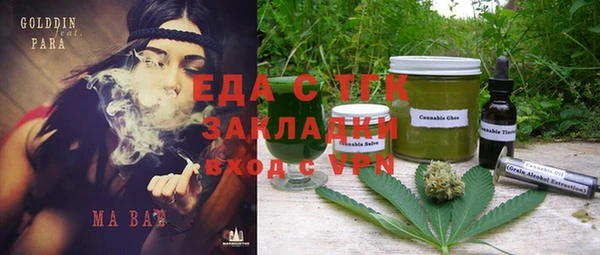 хмурый Алексин