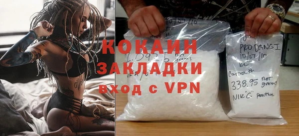 хмурый Алексин
