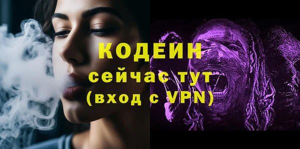 хмурый Алексин