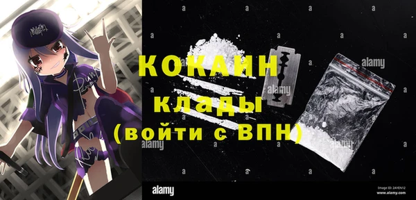 хмурый Алексин