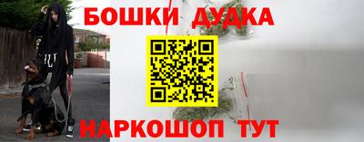 винт Дубна