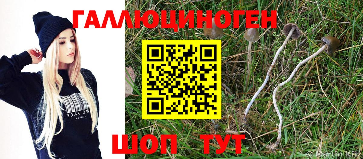 Родники  Псилоцибиновые грибы Psilocybine cubensis  Вход с VPN  Псилоцибиновые грибы Psilocybine cubensis 