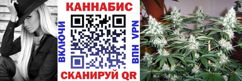 Бошки марихуана SATIVA & INDICA  как найти закладки  shop наркотические препараты  Родники 